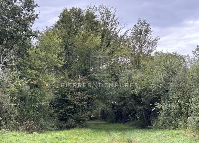 Ferme - 52 m² - 3 pièces