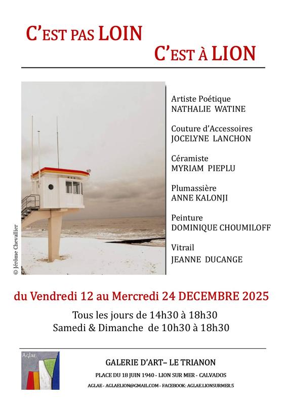 Les Amis de la Galerie de Lion Art et d'Essais présente: c'est pas loin c'est à Lion