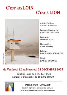 Les Amis de la Galerie de Lion Art et d'Essais présente: c'est pas loin c'est à Lion