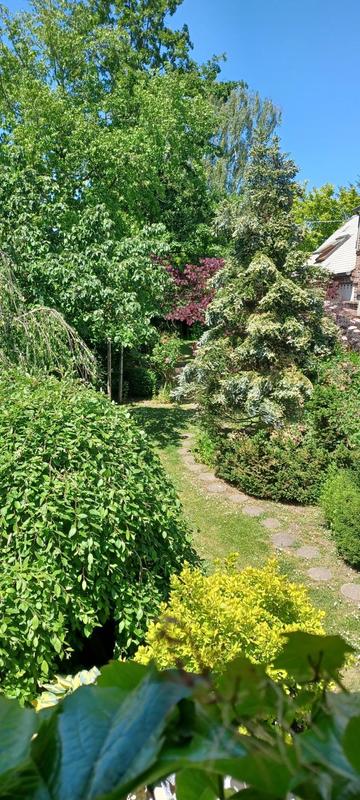 Maison - 262 m² - 12 pièces