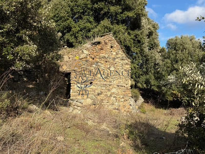 Maison - 25 m² - 1 pièce