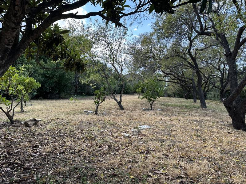 Maison ancienne - 188 m² - 6 pièces