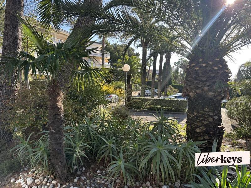 Appartement - 226 m² - 5 pièces