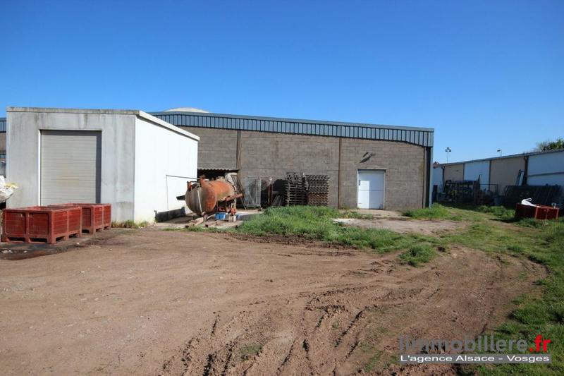 Local d'activité / Entrepôt - 600 m²