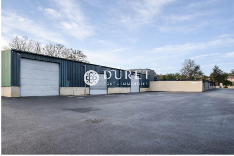 Local d'activités - 902 m²