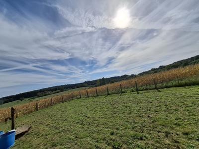 Terrain - 11 450 m²