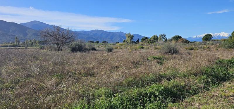 Terrain agricole - 4 272 m²