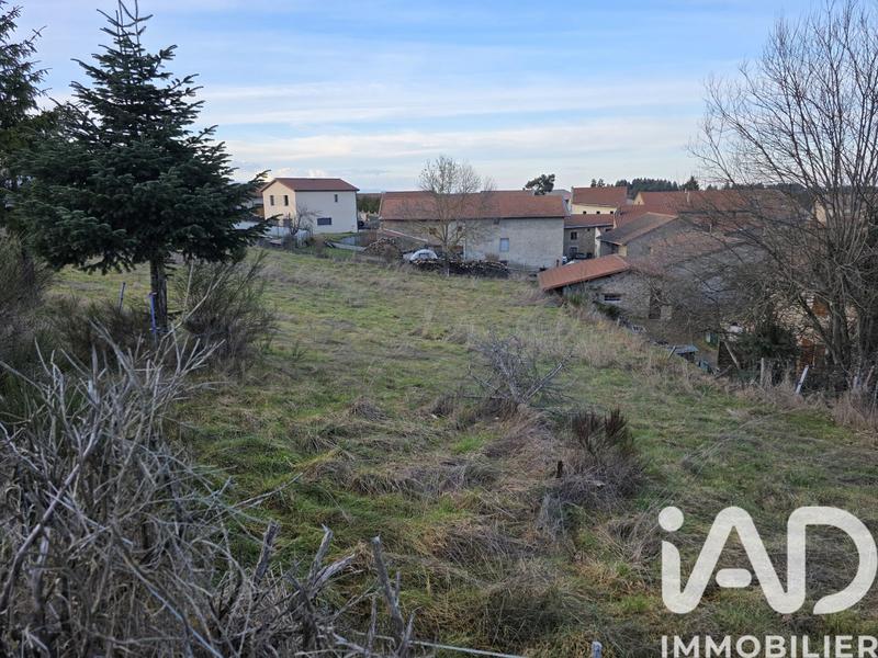 Terrain - 1 577 m²