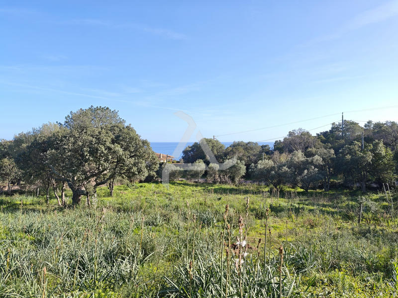 Maison - 41 m² - 1 pièce