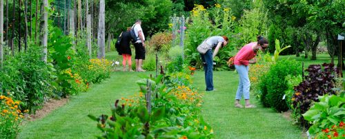 Jardin aux Plantes Parfumées