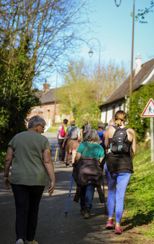 Randonnée à la Ferté Saint Samson