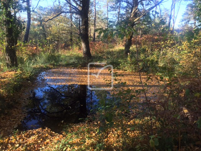 Propriété - 250 m² - 15 pièces