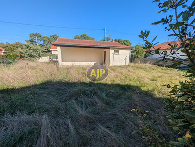 Maison - 37 m² - 2 pièces