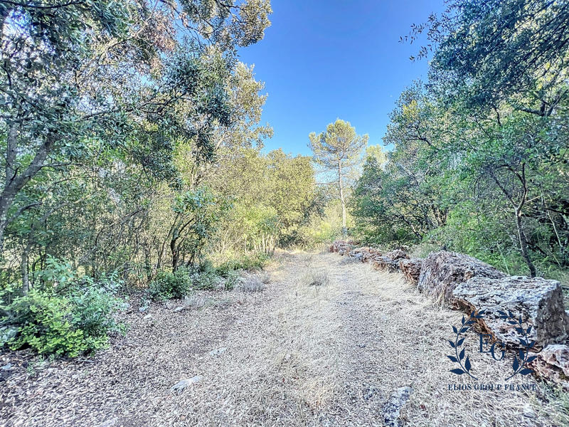 Terrain de loisirs - 20 020 m²