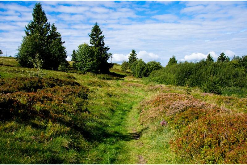 Le Champ du Feu - une station Nature