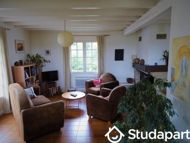 Chambre - 10 m² - 1 pièce