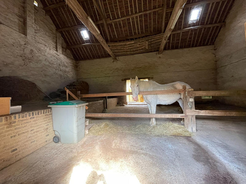 Demeure - 370 m² - 14 pièces