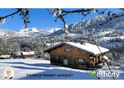 Châlet - 243 m² - 12 pièces