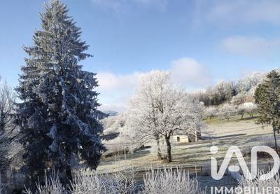 Maison - 299 m² - 4 pièces