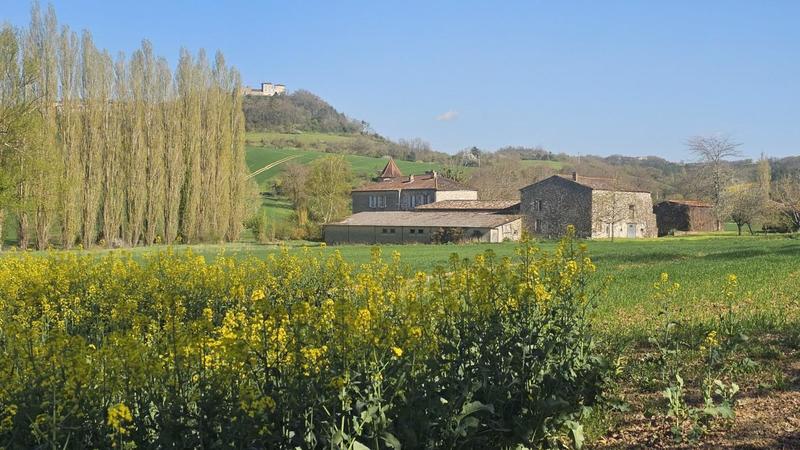 Manoir - 300 m² - 11 pièces