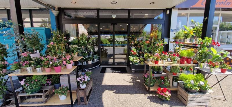 Fonds de commerce - Magasins - 185 m²