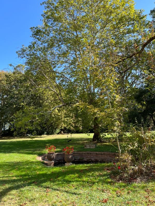 Propriété - 600 m² - 13 pièces