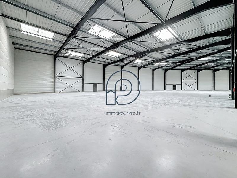 Local d'activités - 851 m²