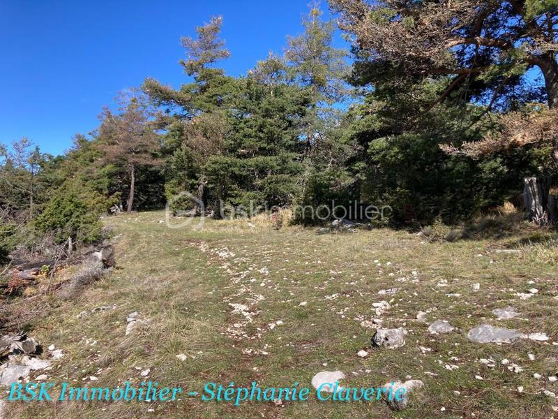Terrain agricole - 10 100 m²