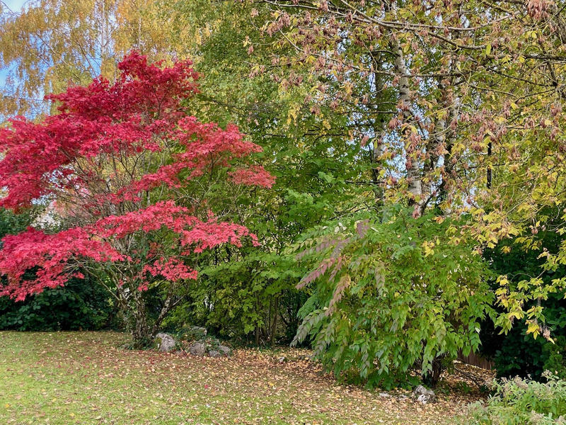 Maison - 230 m² - 7 pièces