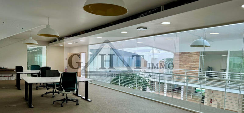 Bureau - 164 m²