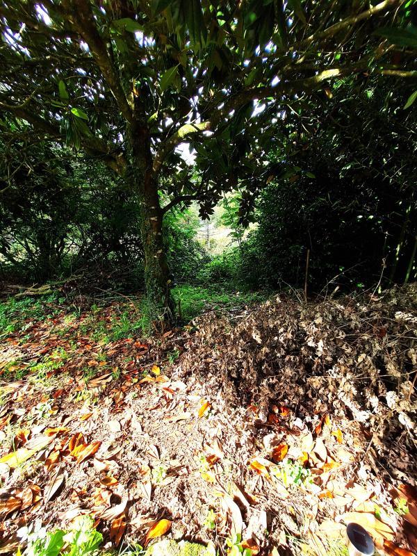 Maison - 134 m² - 5 pièces