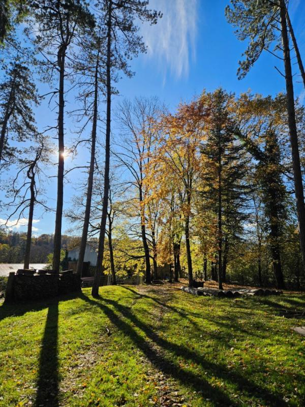 Maison - 245 m² - 12 pièces