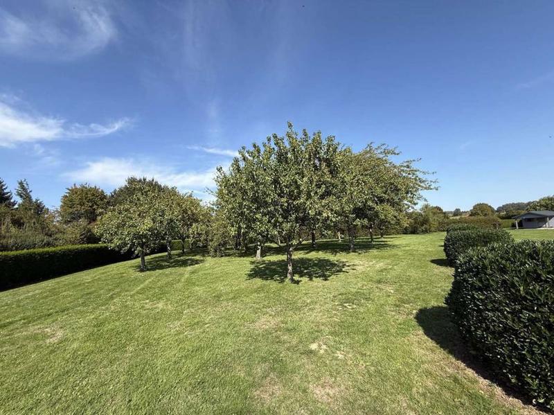 Terrain de loisirs - 11 549 m²