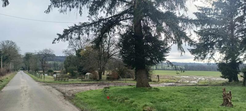 Hangar - 325 m² - 2 pièces