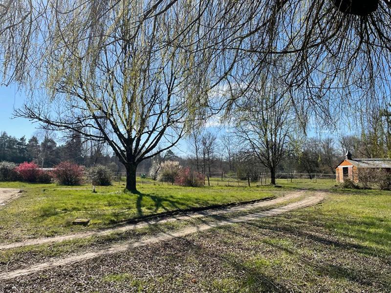 Terrain - 67 406 m²