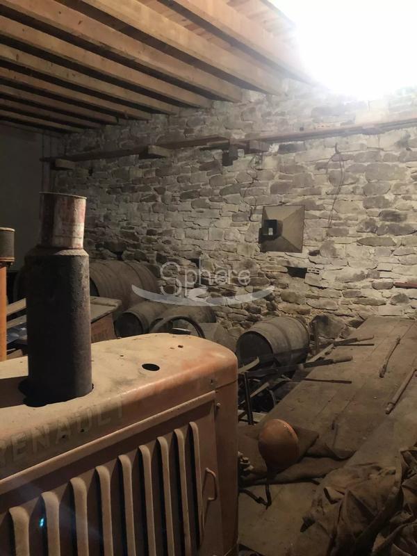 Immeuble mixte - 10 pièces