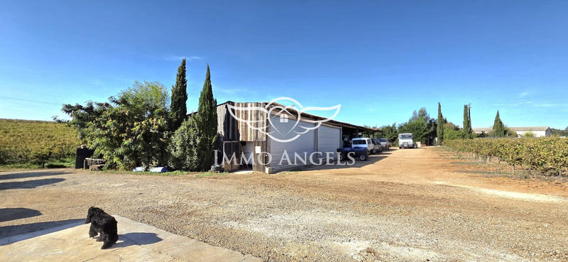 Mas - 240 m² - 13 pièces