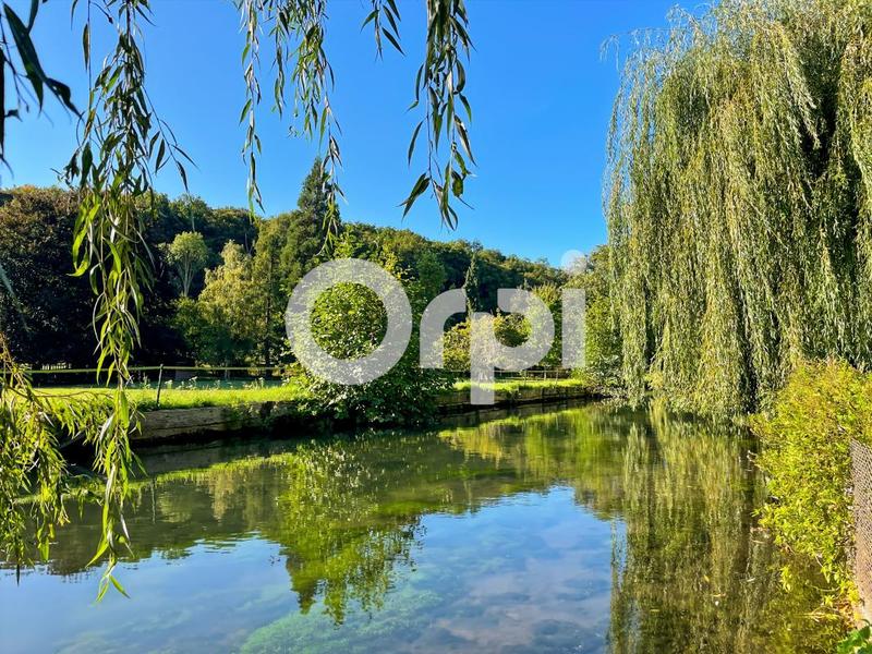 Moulin - 550 m² - 7 pièces