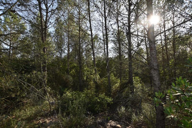 Terrain de loisirs - 1 530 m²