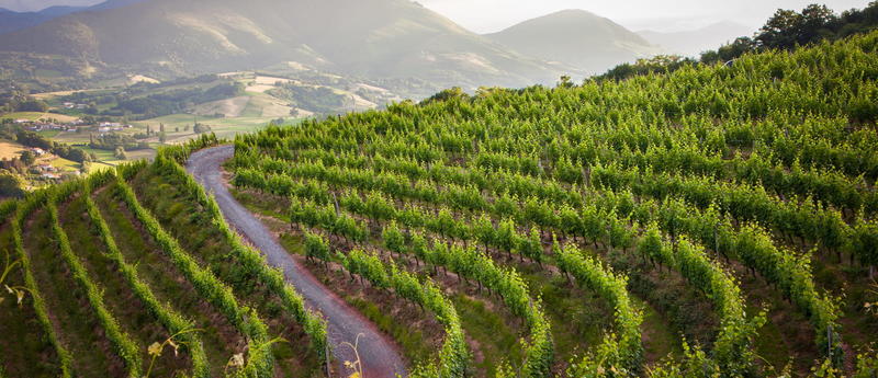 Fêtes de village : kantaldi (chants basques) suivi d'une soirée burger