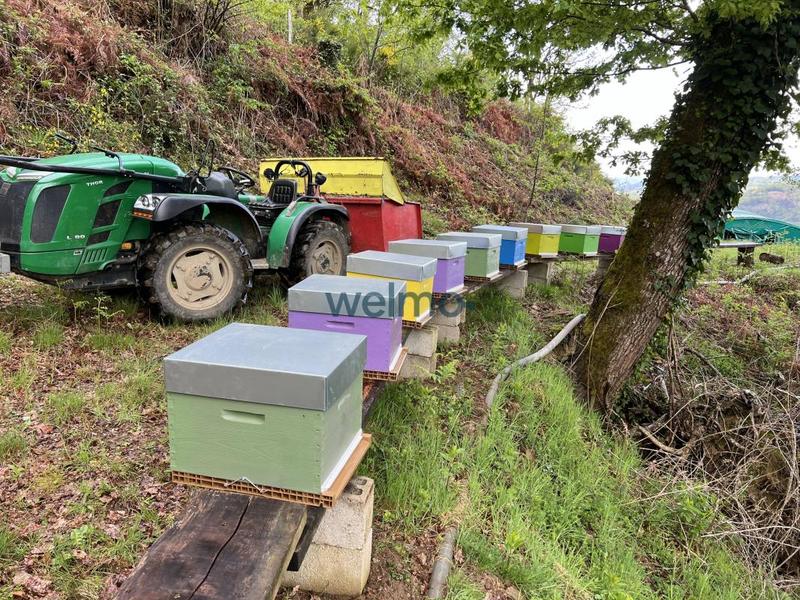 Maison - 150 m² - 3 pièces