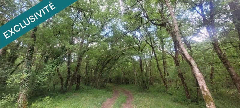 Terrain - 697 767 m²