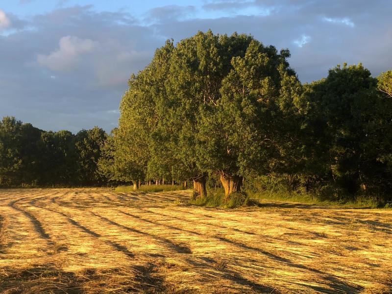 Maison - 200 m² - 7 pièces