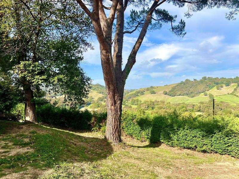 Propriété - 165 m² - 6 pièces