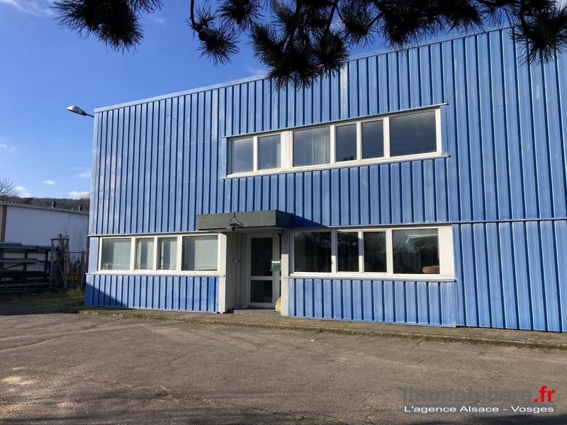 Local d'activité / Entrepôt - 600 m²