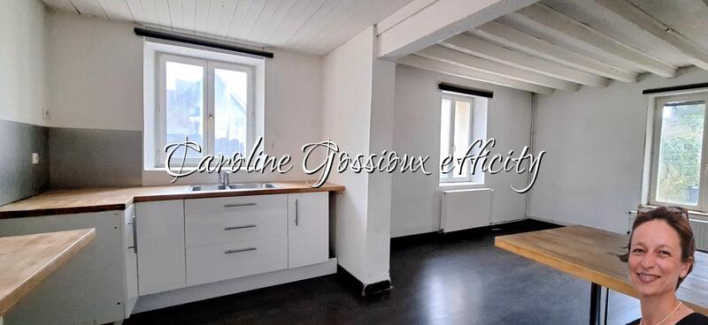 Maison ancienne - 192 m² - 9 pièces