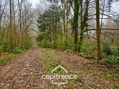 Terrain de loisirs - 96 594 m²