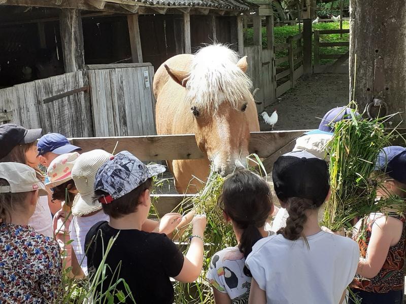 Parcours famille à la ferme