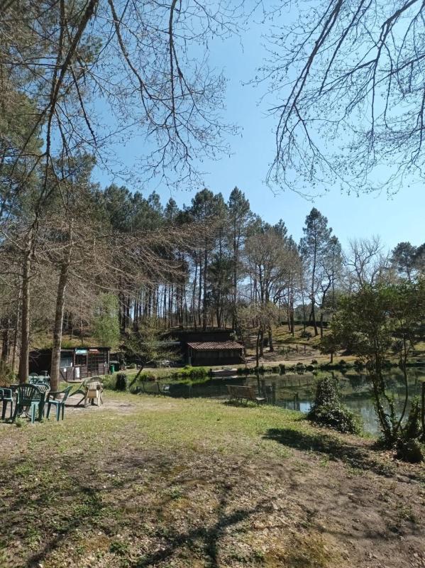 Propriété - 81 m² - 4 pièces