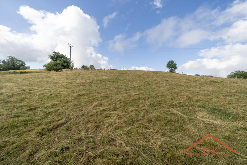 Maison - 200 m² - 5 pièces